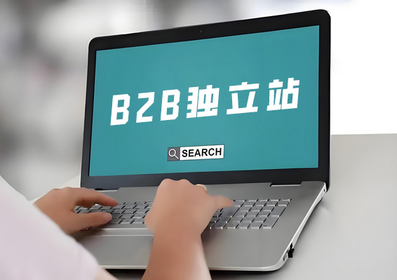 B2B英文獨(dú)立站